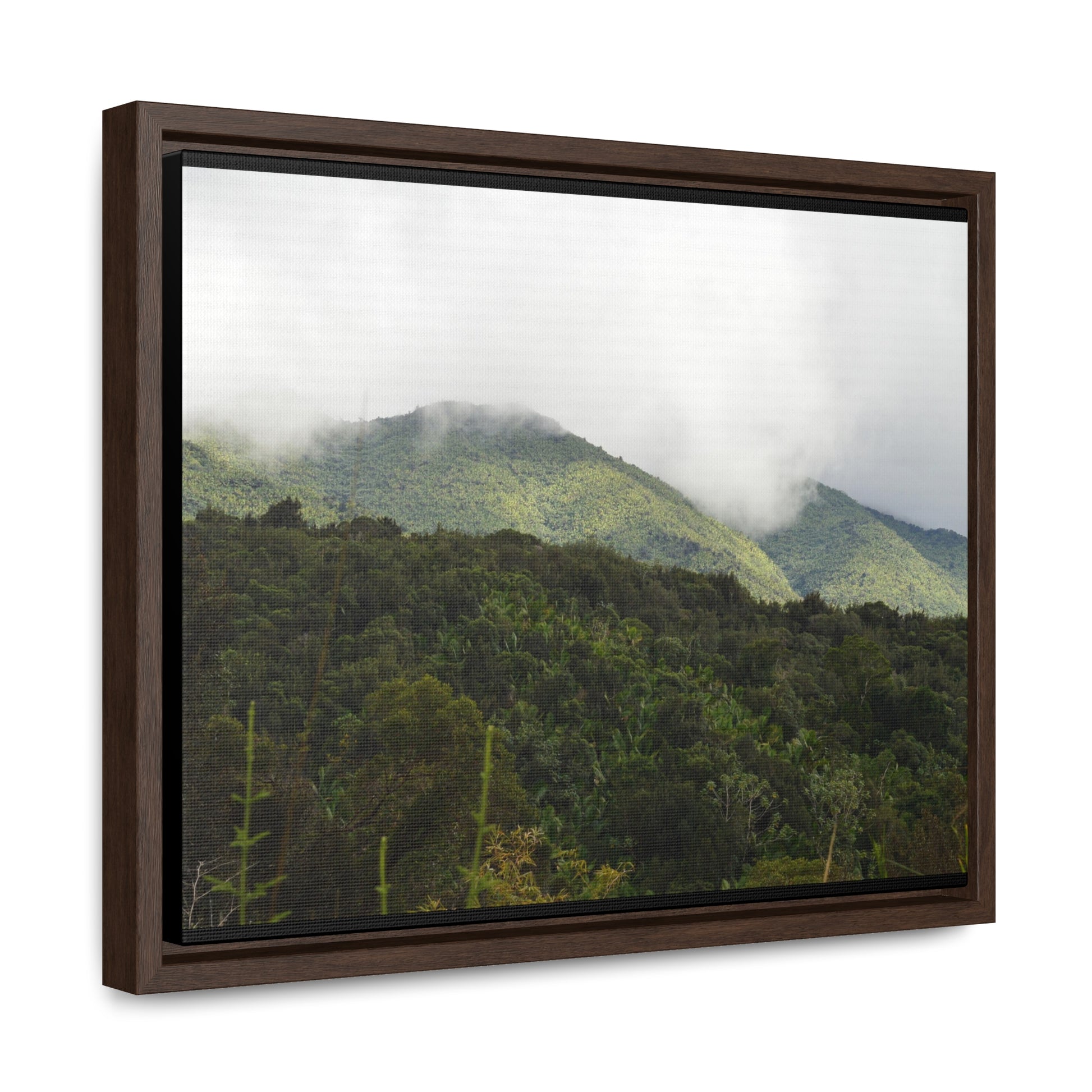 Rainforest Trails & Views - Gallery Canvas Wraps, Horizontal Frame - El Yunque National Forest - Puerto Rico - View from Closed PR191 road - Green Forest Home