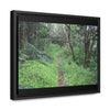 Rainforest Trails & Views - Gallery Canvas Wraps, Horizontal Frame - El Yunque National Forest - Tradewinds trail - cloud forest - Green Forest Home