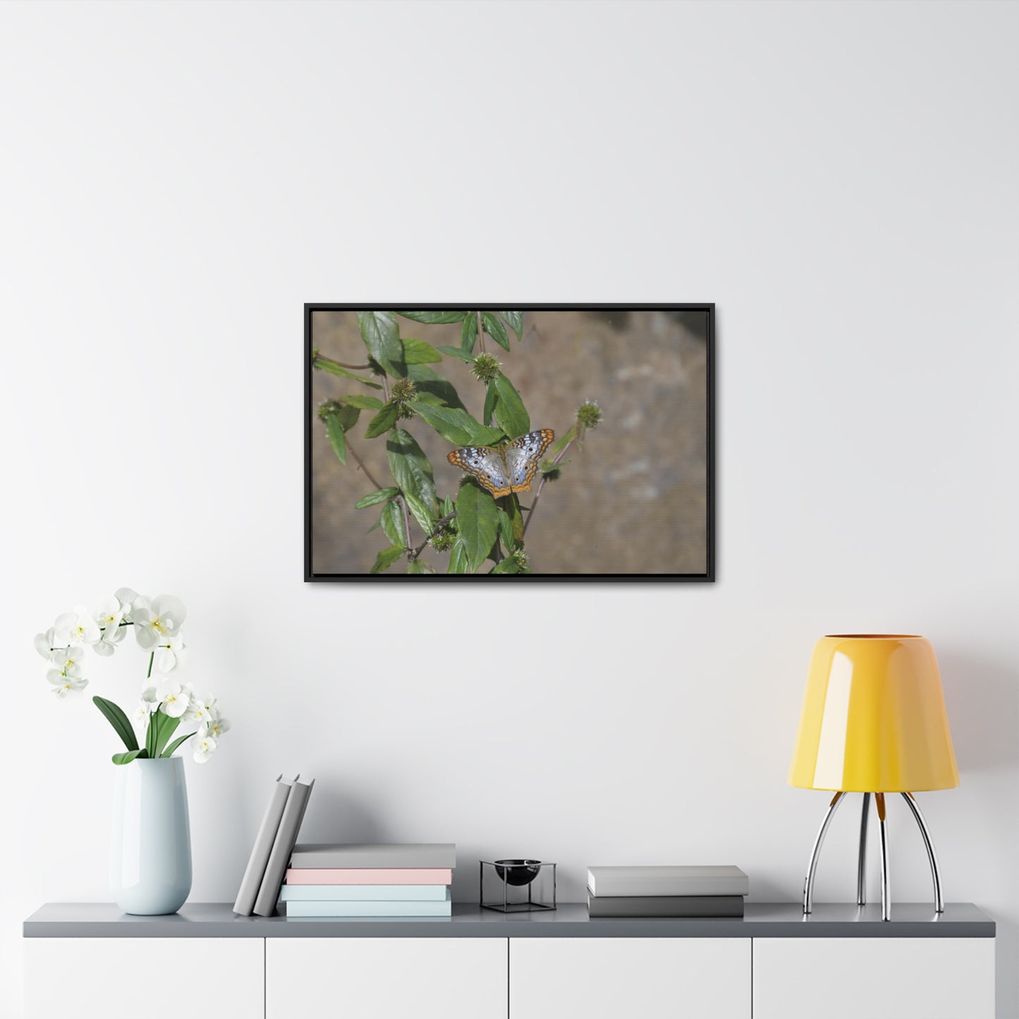 Rainforest Trails & Views - Gallery Canvas Wraps, Horizontal Frame - El Yunque National Forest - Puerto Rico - Rio Sabana Park Butterfly - Green Forest Home