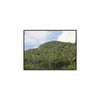 Rainforest Trails & Views - Gallery Canvas Wraps, Horizontal Frame - El Yunque National Forest - Puerto Rico - Rio Sabana park dense forest mountains - Green Forest Home