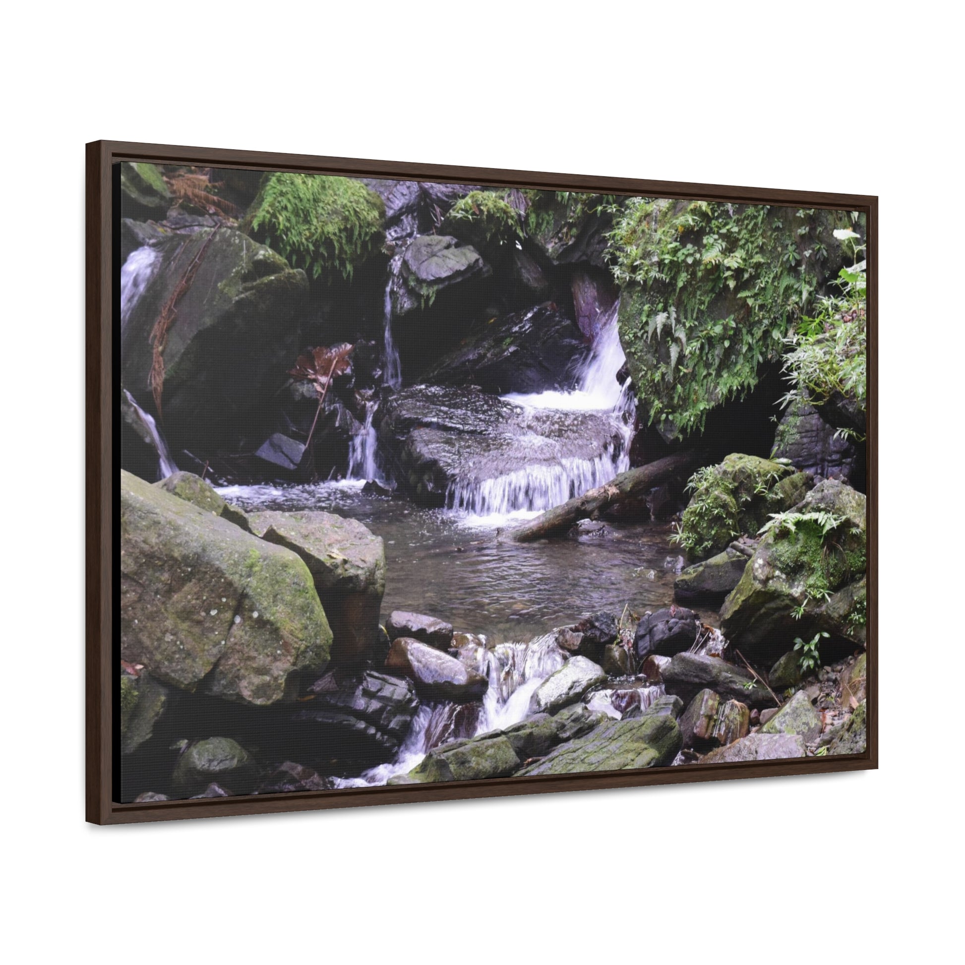 Rainforest Trails & Views - Gallery Canvas Wraps, Horizontal Frame - El Yunque National Forest - Puerto Rico - Juan Diego Trail & River - Green Forest Home