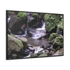 Rainforest Trails & Views - Gallery Canvas Wraps, Horizontal Frame - El Yunque National Forest - Puerto Rico - Juan Diego Trail & River - Green Forest Home