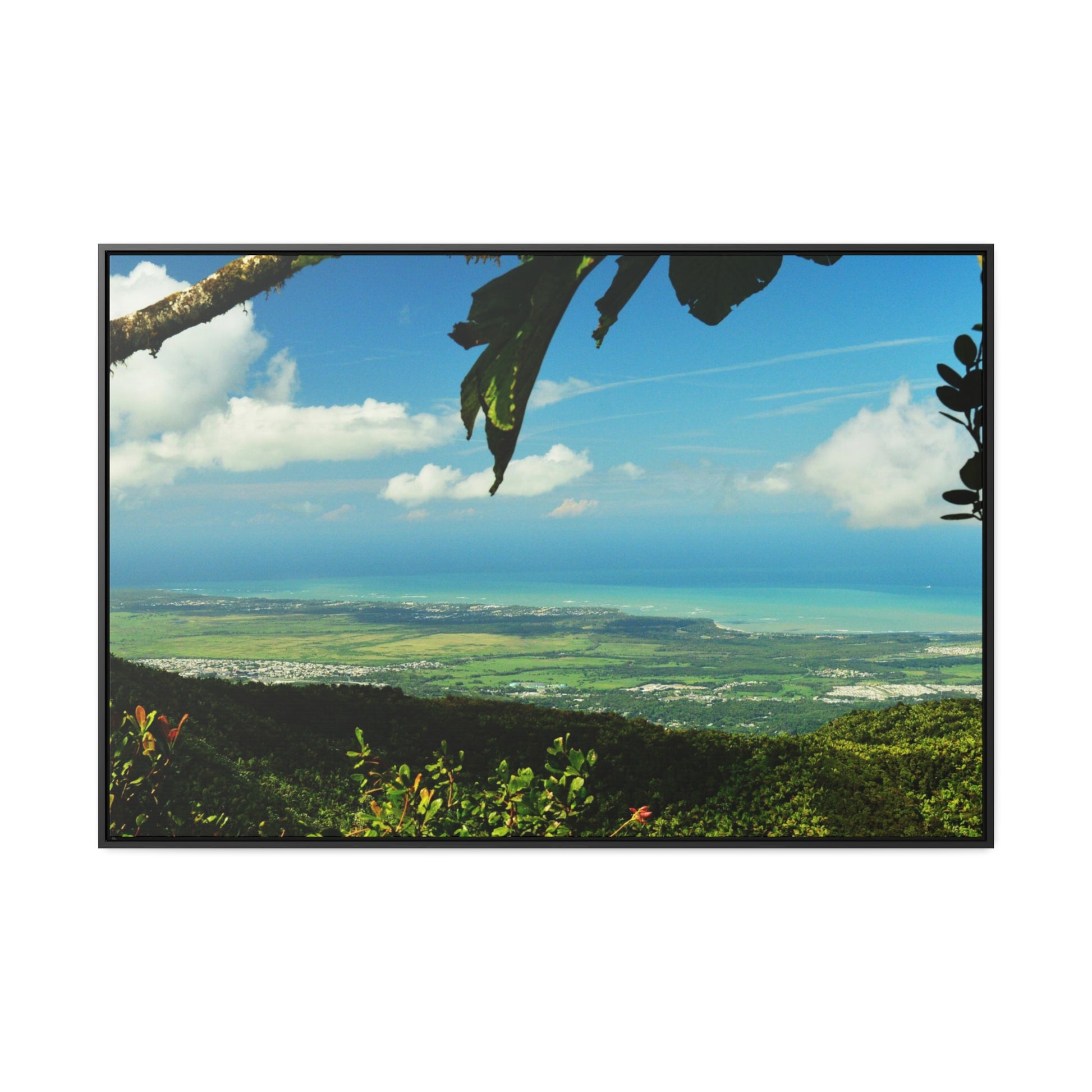 Rainforest Trails & Views - Gallery Canvas Wraps, Horizontal Frame - El Yunque National Forest - Puerto Rico - View from Tres Picachos - El Yunque Trail - Green Forest Home