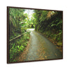 Rainforest Trails & Views - Gallery Canvas Wraps, Horizontal Frame - El Yunque National Forest - Puerto Rico - The winding El Yunque main road PR 191 near the top