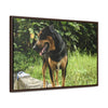 Rainforest Trails & Views - Gallery Canvas Wraps, Horizontal Frame - El Yunque National Forest - Puerto Rico - Rio Sabana Cubuy River - Firo the dog explorer - Green Forest Home