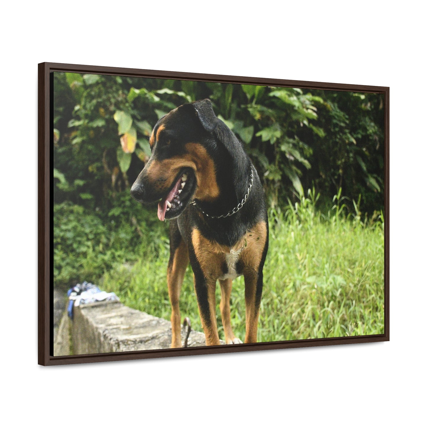 Rainforest Trails & Views - Gallery Canvas Wraps, Horizontal Frame - El Yunque National Forest - Puerto Rico - Rio Sabana Cubuy River - Firo the dog explorer - Green Forest Home