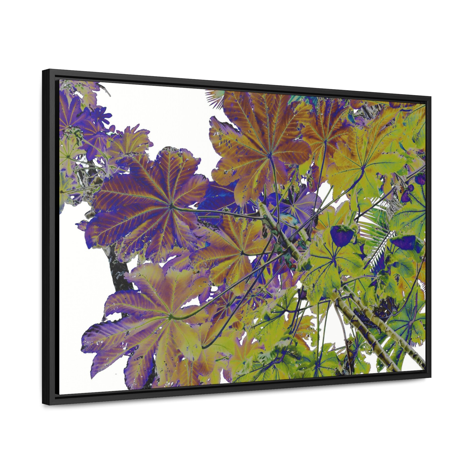 Rainforest Trails & Views - Gallery Canvas Wraps, Horizontal Frame - El Yunque National Forest - Puerto Rico - Rio Sabana Trail Yagrumo leaves - color enhanced - Green Forest Home