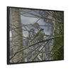 Rainforest Trails & Views - Gallery Canvas Wraps, Horizontal Frame - El Yunque National Forest - Puerto Rico - Color enhanced bird in Rio Sabana trail - Green Forest Home