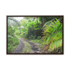 Rainforest Trails & Views - Gallery Canvas Wraps, Horizontal Frame - El Yunque National Forest - Puerto Rico - Closed PR191 road & landlside - Green Forest Home