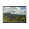 Rainforest Trails & Views - Gallery Canvas Wraps, Horizontal Frame - El Yunque National Forest - Puerto Rico - View from PR191 closed forest road - Green Forest Home