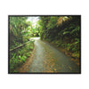 Rainforest Trails & Views - Gallery Canvas Wraps, Horizontal Frame - El Yunque National Forest - Puerto Rico - The winding El Yunque main road PR 191 near the top