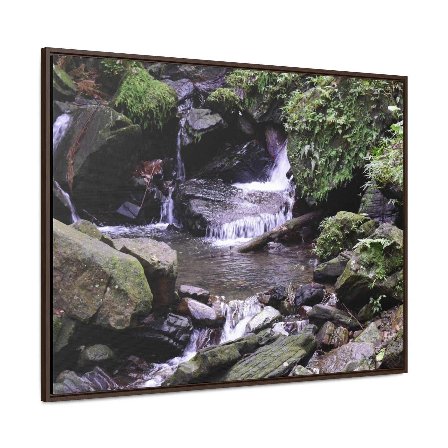 Rainforest Trails & Views - Gallery Canvas Wraps, Horizontal Frame - El Yunque National Forest - Puerto Rico - Juan Diego Trail & River - Green Forest Home