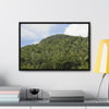 Rainforest Trails & Views - Gallery Canvas Wraps, Horizontal Frame - El Yunque National Forest - Puerto Rico - Rio Sabana park dense forest mountains - Green Forest Home