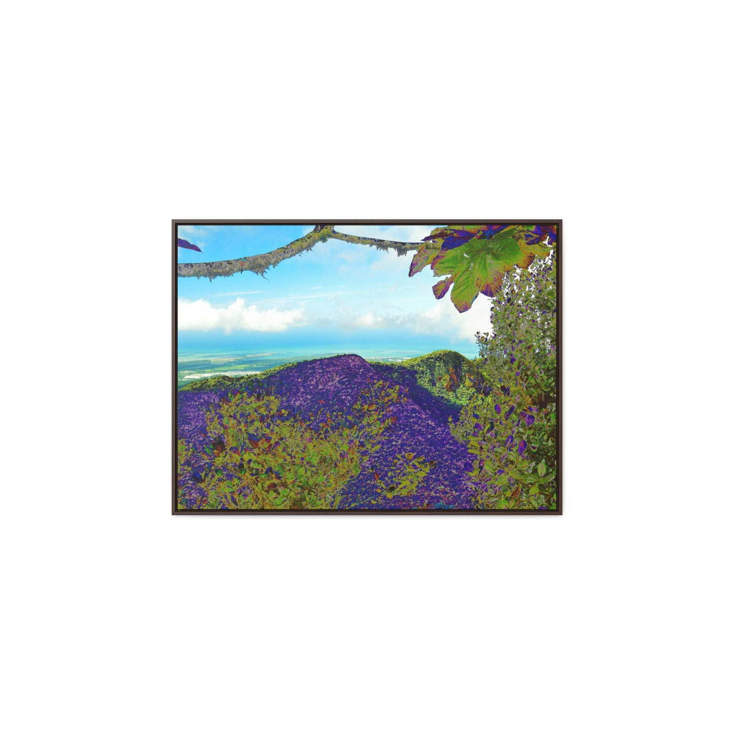 Rainforest Trails & Views - Gallery Canvas Wraps, Horizontal Frame - El Yunque National Forest - Puerto Rico - View from Tres Picachos - color enhanced - Green Forest Home