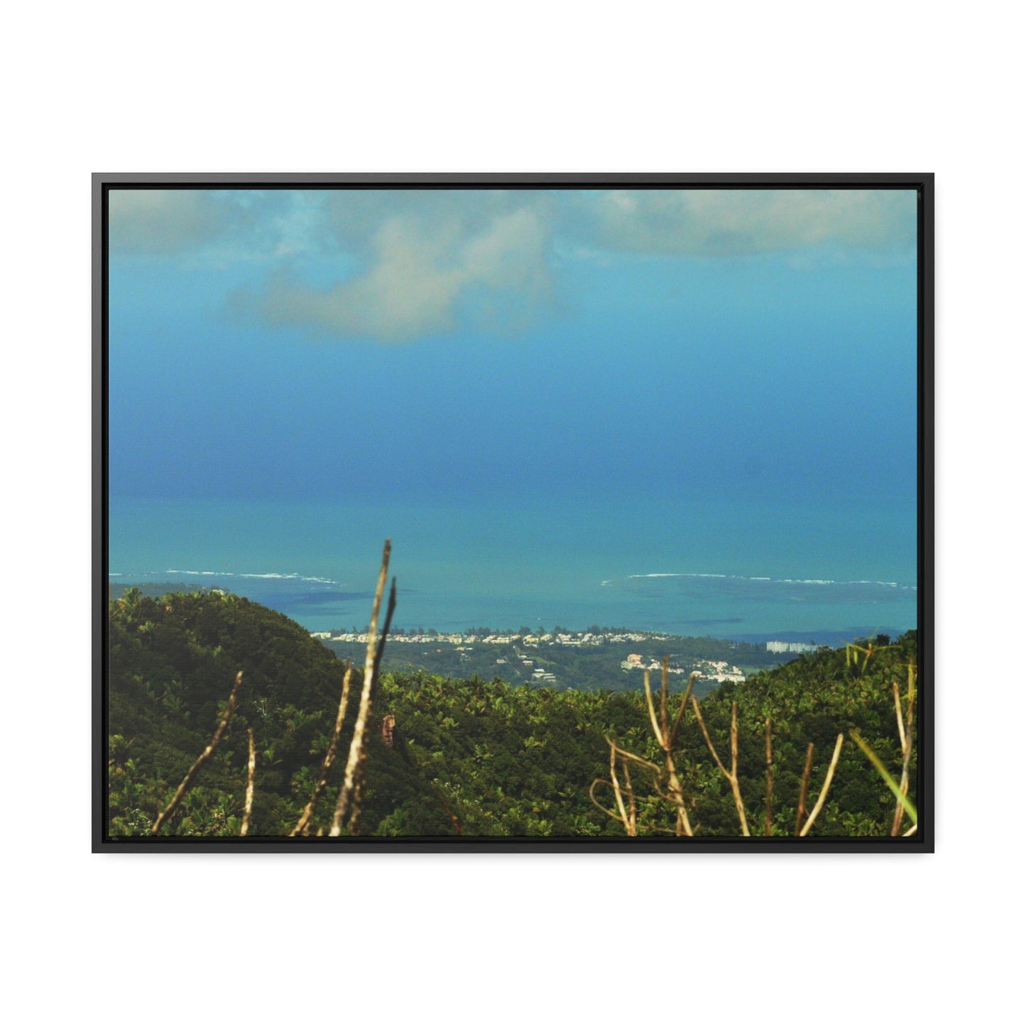 Rainforest Trails & Views - Gallery Canvas Wraps, Horizontal Frame - El Yunque National Forest - PR - Urbanization gets closer - view from Tres Picachos - Green Forest Home