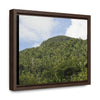 Rainforest Trails & Views - Gallery Canvas Wraps, Horizontal Frame - El Yunque National Forest - Puerto Rico - Rio Sabana park dense forest mountains - Green Forest Home