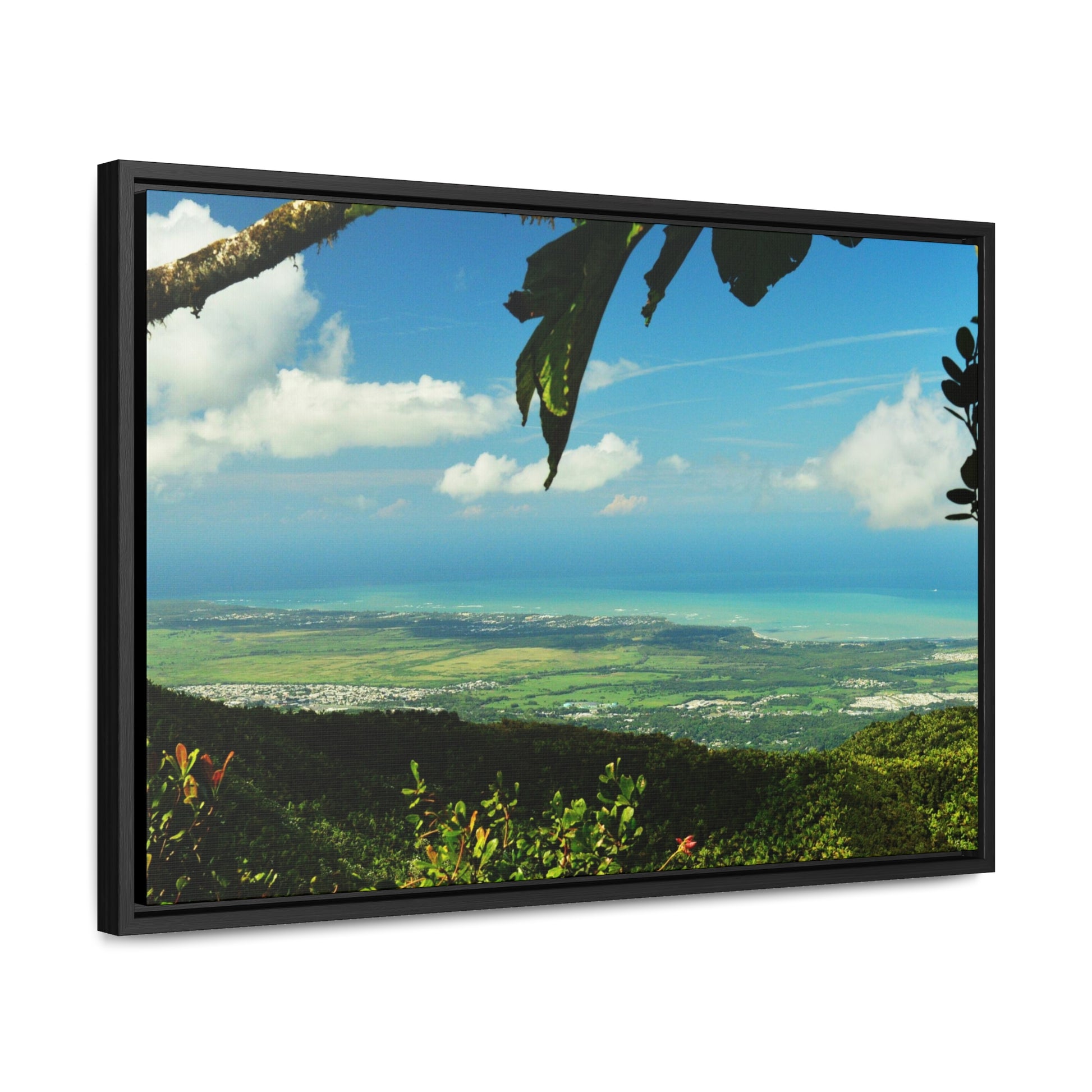 Rainforest Trails & Views - Gallery Canvas Wraps, Horizontal Frame - El Yunque National Forest - Puerto Rico - View from Tres Picachos - El Yunque Trail - Green Forest Home