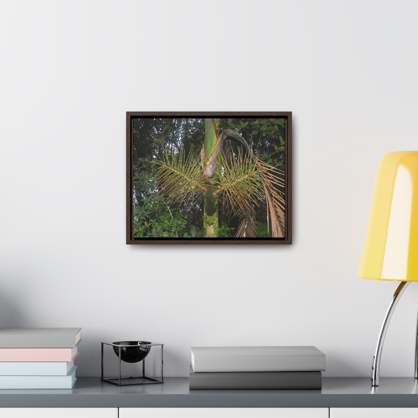 Rainforest Trails & Views - Gallery Canvas Wraps, Horizontal Frame - El Yunque National Forest - Puerto Rico - A close view of the Sierra Palm tree