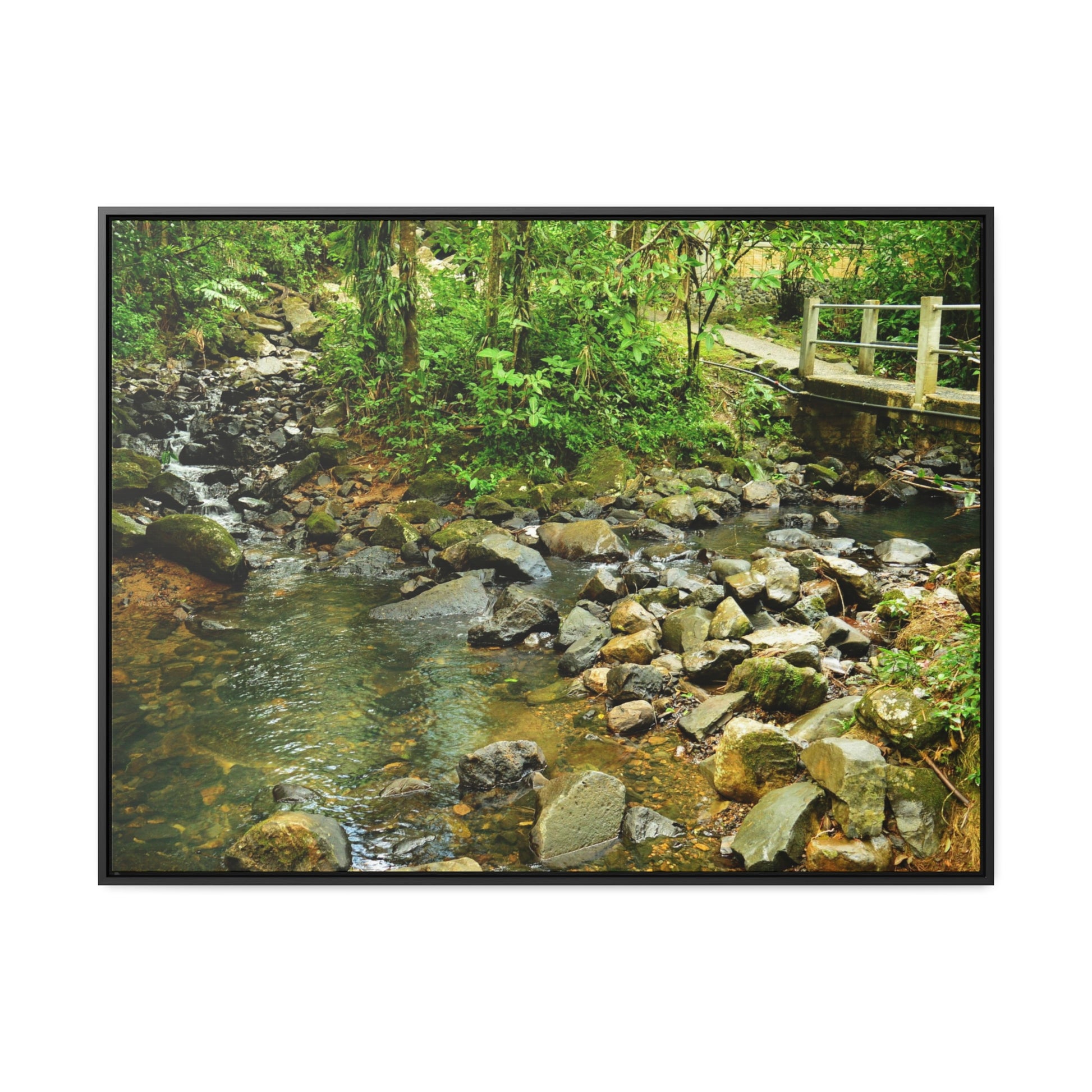 Rainforest Trails & Views - Gallery Canvas Wraps, Horizontal Frame - El Yunque National Forest - Puerto Rico - The Famous La Mina Trail & River - Green Forest Home