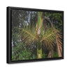 Rainforest Trails & Views - Gallery Canvas Wraps, Horizontal Frame - El Yunque National Forest - Puerto Rico - A close view of the Sierra Palm tree