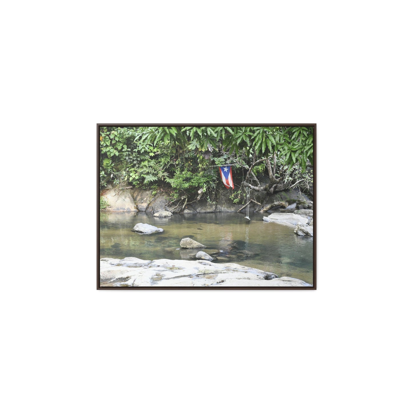 Rainforest Trails & Views - Gallery Canvas Wraps, Horizontal Frame - El Yunque National Forest - Rio Sabana Park and pond - Green Forest Home