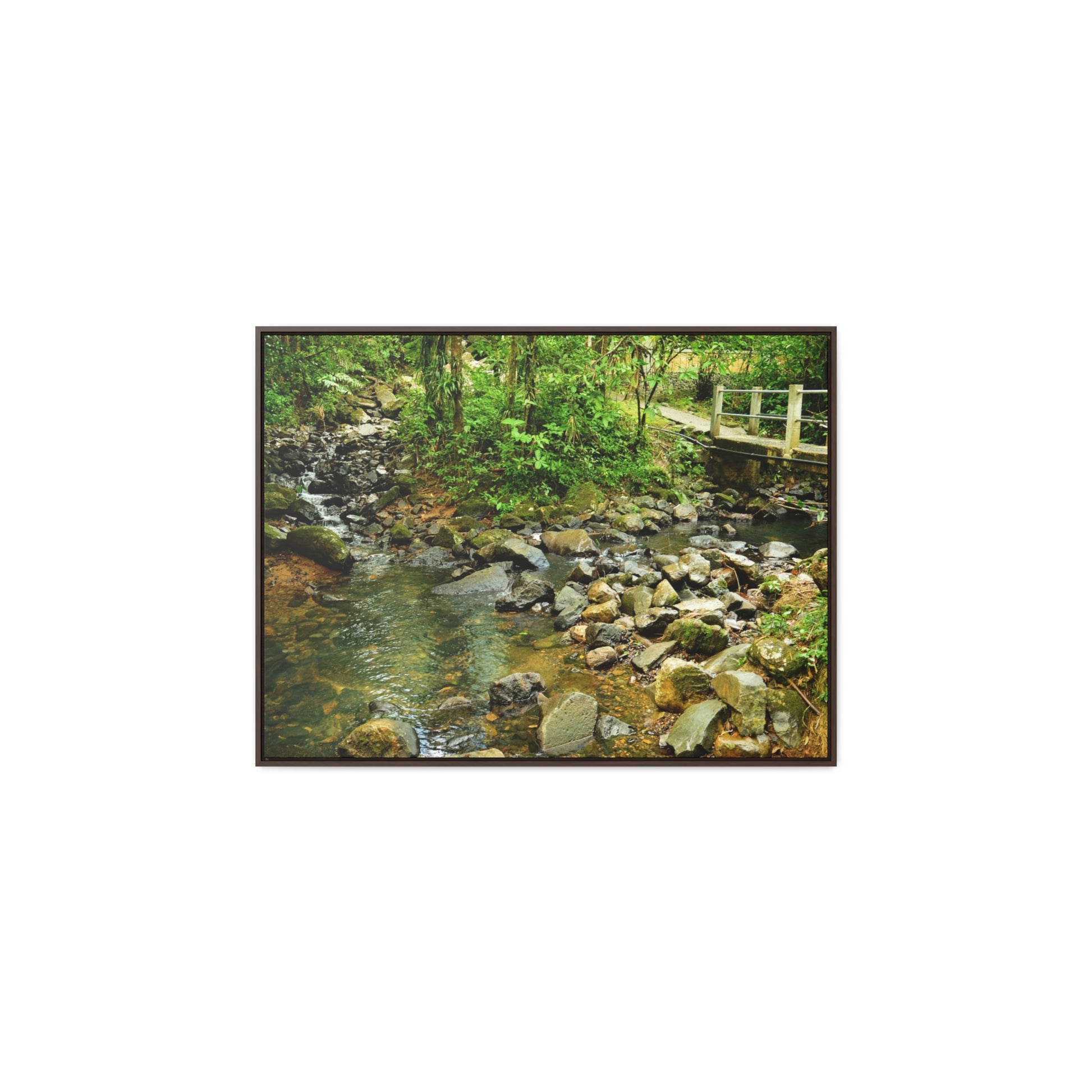 Rainforest Trails & Views - Gallery Canvas Wraps, Horizontal Frame - El Yunque National Forest - Puerto Rico - The Famous La Mina Trail & River - Green Forest Home