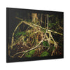 Rainforest Trails & Views - Gallery Canvas Wraps, Horizontal Frame - El Yunque National Forest - Puerto Rico - Tradewinds trail weird trees - Green Forest Home