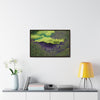 Rainforest Trails & Views - Gallery Canvas Wraps, Horizontal Frame - El Yunque National Forest - Puerto Rico - Mt Britton road view of Mt Britton - color enhanced - Green Forest Home