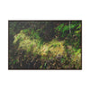 Rainforest Trails & Views - Gallery Canvas Wraps, Horizontal Frame - El Yunque National Forest - PR - PR191 closed road - Huge Boulder with moss - Green Forest Home