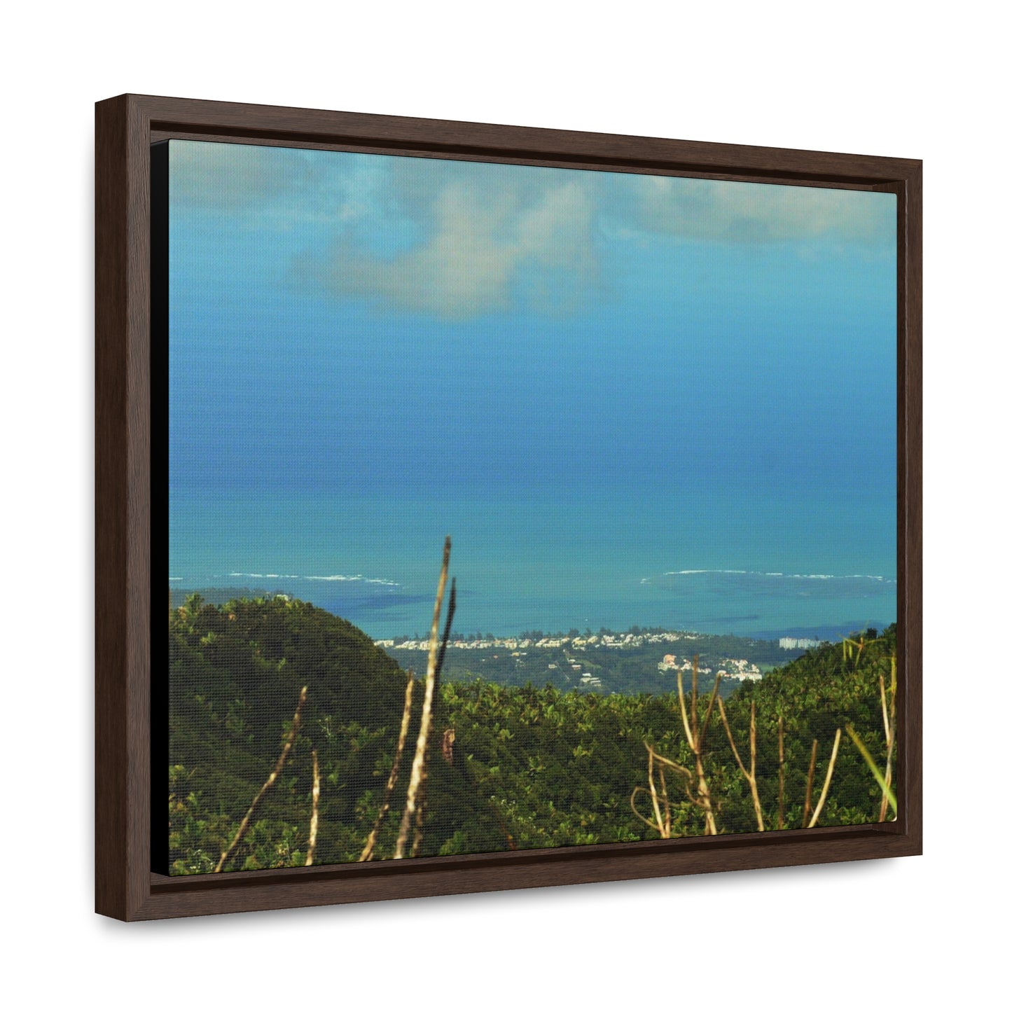 Rainforest Trails & Views - Gallery Canvas Wraps, Horizontal Frame - El Yunque National Forest - PR - Urbanization gets closer - view from Tres Picachos - Green Forest Home