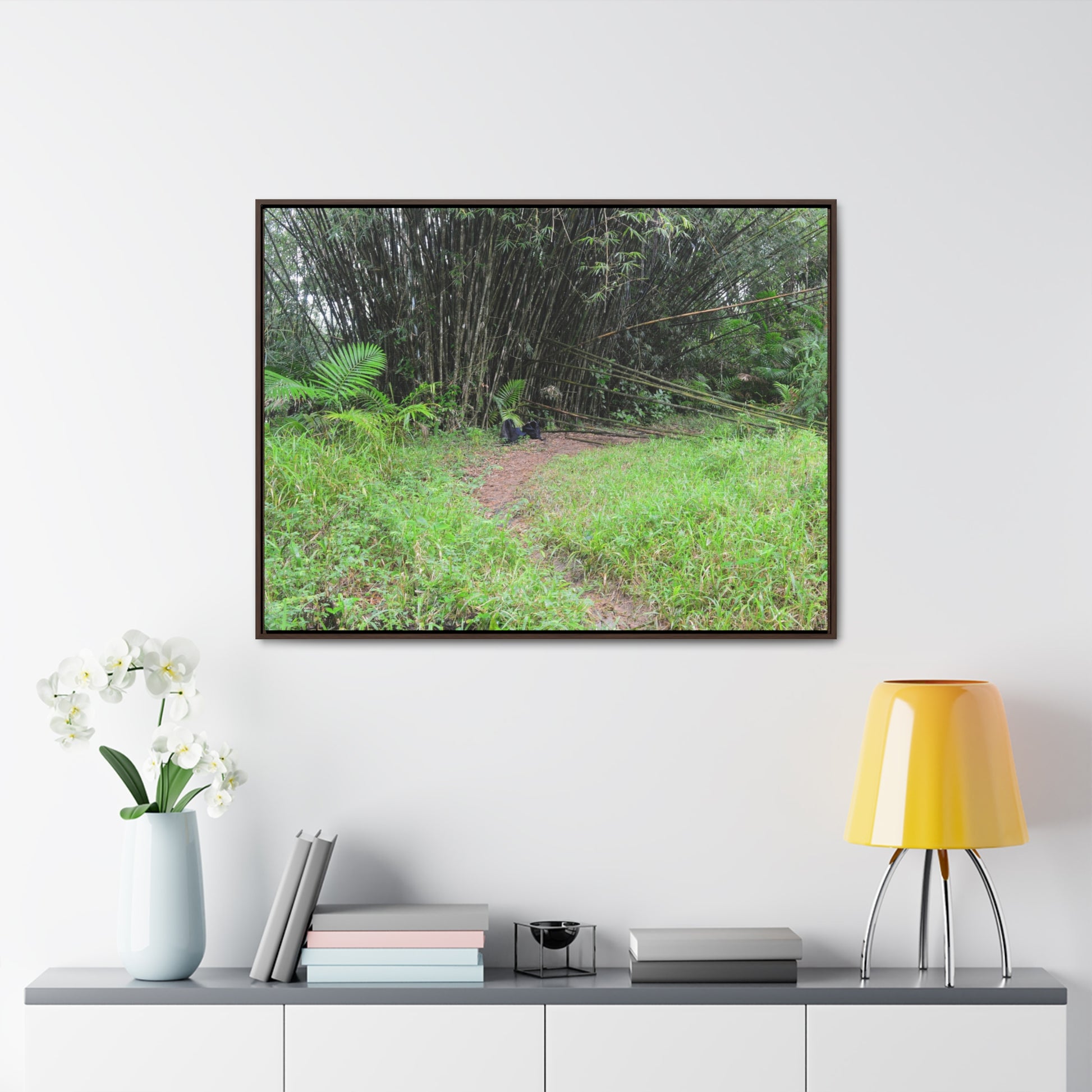 Rainforest Trails & Views - Gallery Canvas Wraps, Horizontal Frame - El Yunque National Forest - Puerto Rico - Path in camping zone near peaks - Green Forest Home