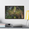 Rainforest Trails & Views - Gallery Canvas Wraps, Horizontal Frame - El Yunque National Forest - Puerto Rico - A close view of the Sierra Palm tree