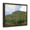 Rainforest Trails & Views - Gallery Canvas Wraps, Horizontal Frame - El Yunque National Forest - Puerto Rico - Rio Sabana park dense forest mountains - Green Forest Home