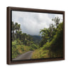 Rainforest Trails & Views - Gallery Canvas Wraps, Horizontal Frame - El Yunque National Forest - Puerto Rico - Closed PR191 forested road - Green Forest Home