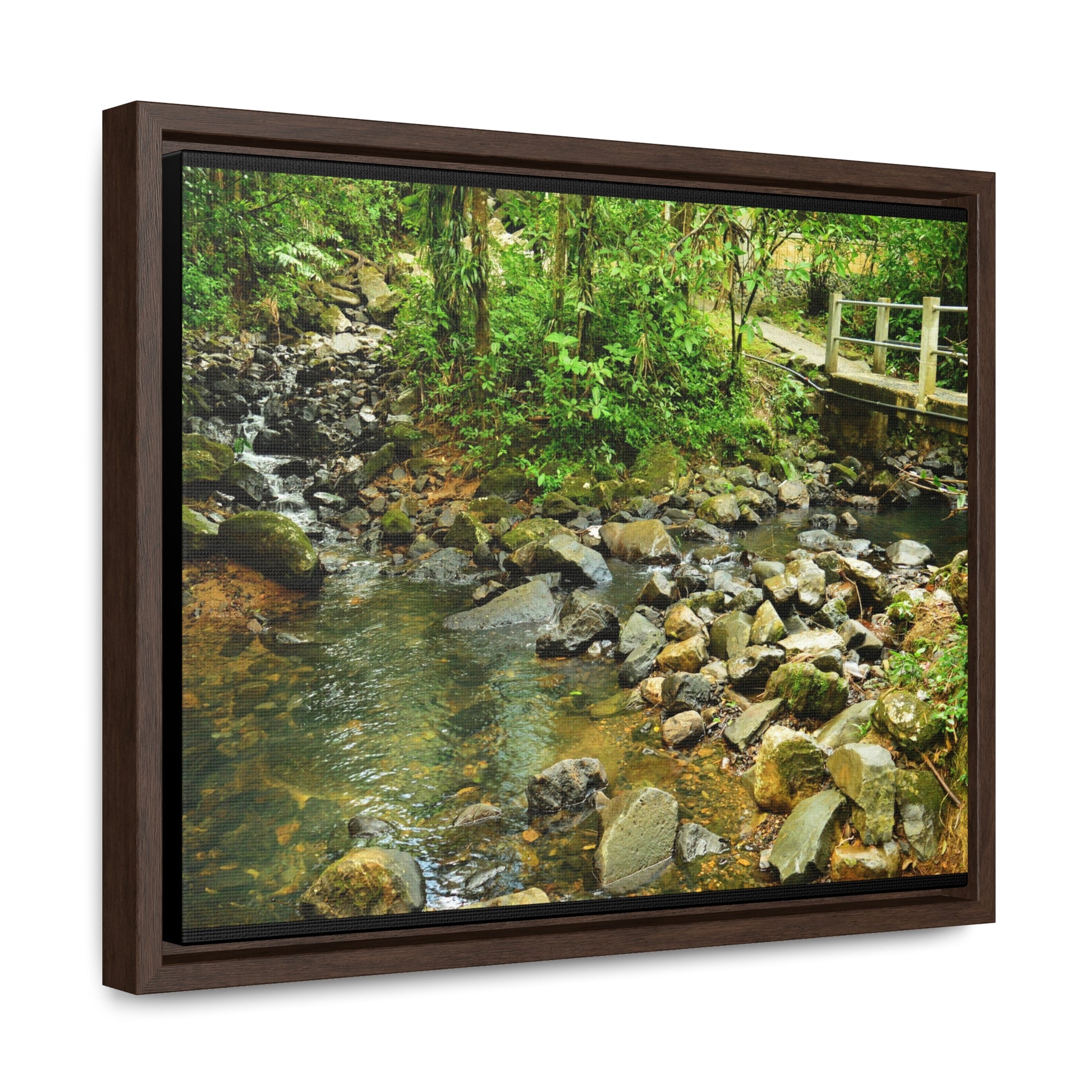 Rainforest Trails & Views - Gallery Canvas Wraps, Horizontal Frame - El Yunque National Forest - Puerto Rico - The Famous La Mina Trail & River - Green Forest Home