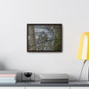 Rainforest Trails & Views - Gallery Canvas Wraps, Horizontal Frame - El Yunque National Forest - Puerto Rico - Color enhanced bird in Rio Sabana trail - Green Forest Home