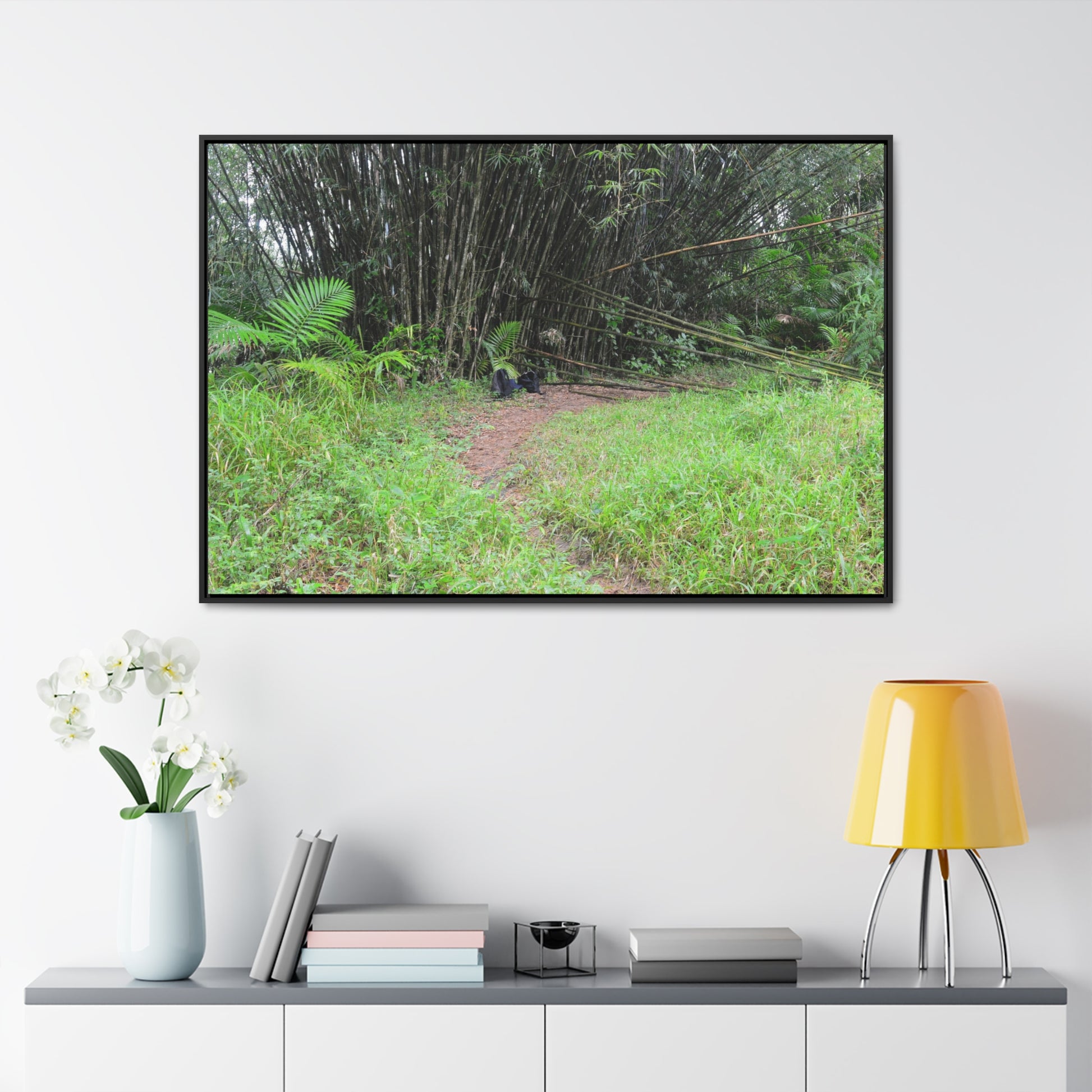 Rainforest Trails & Views - Gallery Canvas Wraps, Horizontal Frame - El Yunque National Forest - Puerto Rico - Path in camping zone near peaks - Green Forest Home