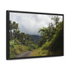 Rainforest Trails & Views - Gallery Canvas Wraps, Horizontal Frame - El Yunque National Forest - Puerto Rico - Closed PR191 forested road - Green Forest Home