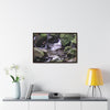 Rainforest Trails & Views - Gallery Canvas Wraps, Horizontal Frame - El Yunque National Forest - Puerto Rico - Juan Diego Trail & River - Green Forest Home