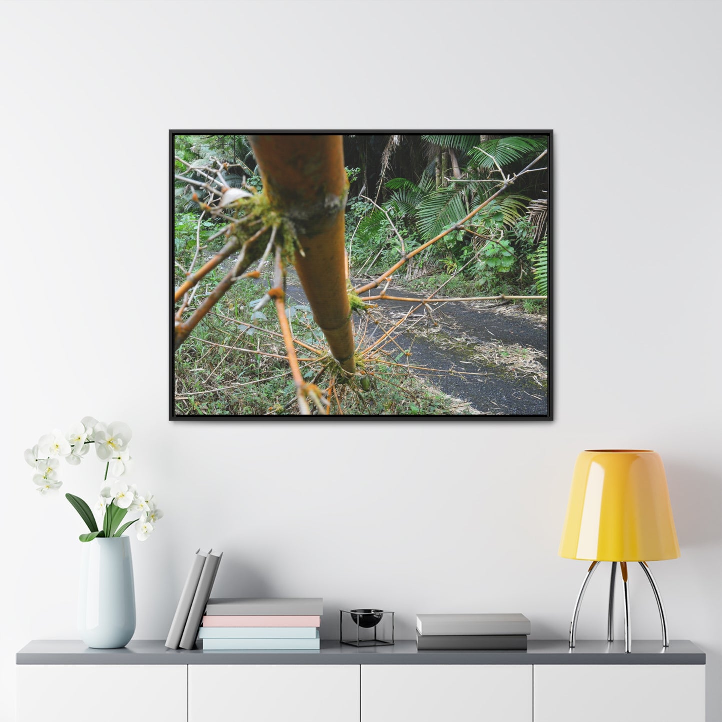 Rainforest Trails & Views - Gallery Canvas Wraps, Horizontal Frame - El Yunque National Forest - Puerto Rico - PR191 Closed forest road with fallend bamboo - Green Forest Home