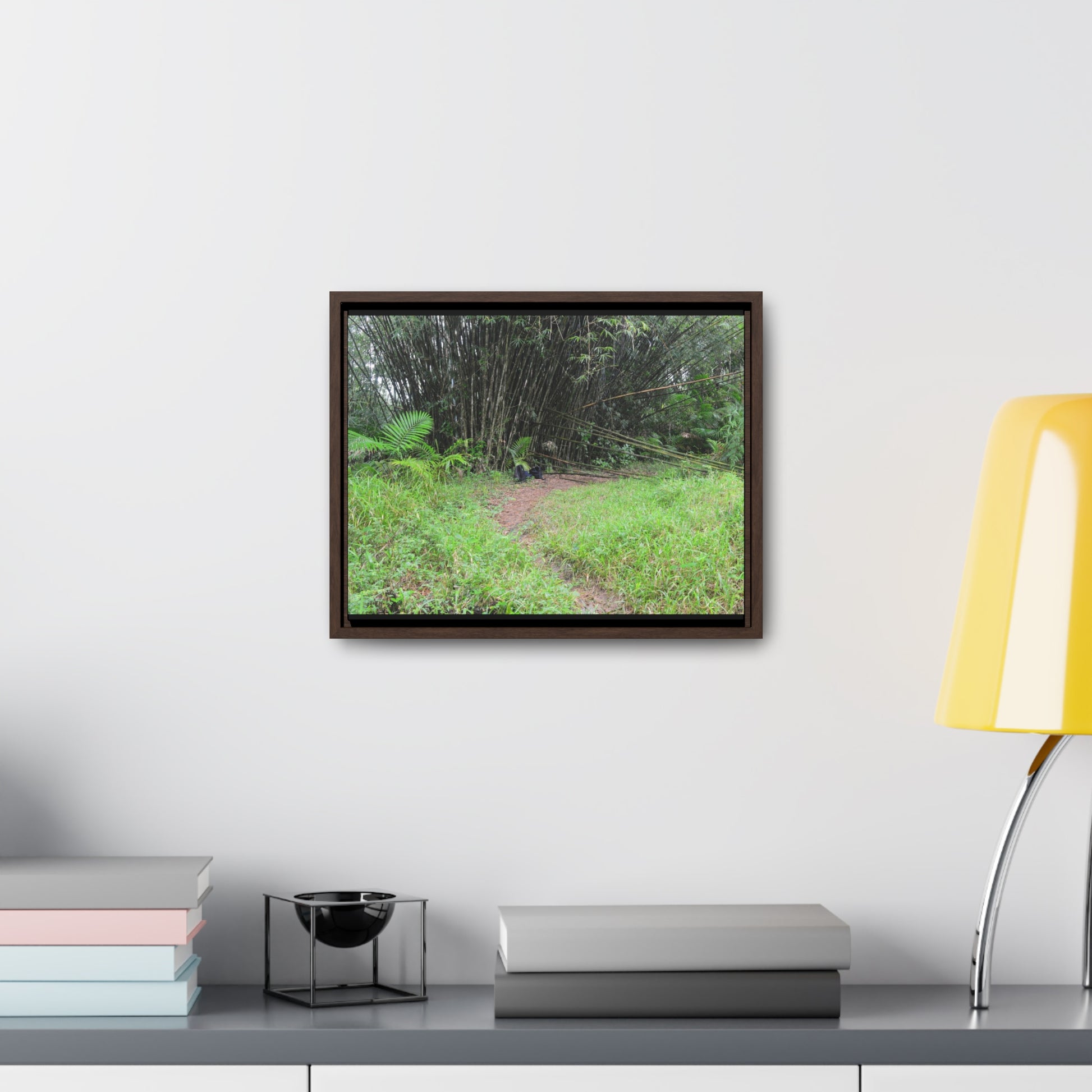 Rainforest Trails & Views - Gallery Canvas Wraps, Horizontal Frame - El Yunque National Forest - Puerto Rico - Path in camping zone near peaks - Green Forest Home