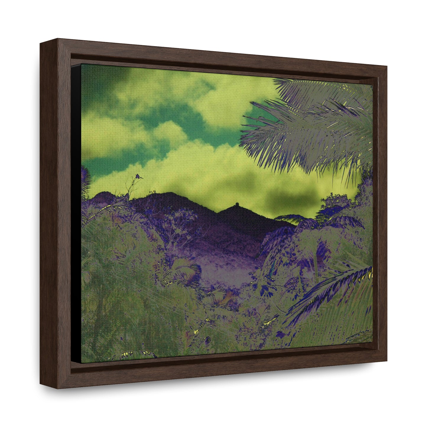 Rainforest Trails & Views - Gallery Canvas Wraps, Horizontal Frame - El Yunque National Forest - Puerto Rico - Mt Britton road view of Mt Britton - color enhanced - Green Forest Home