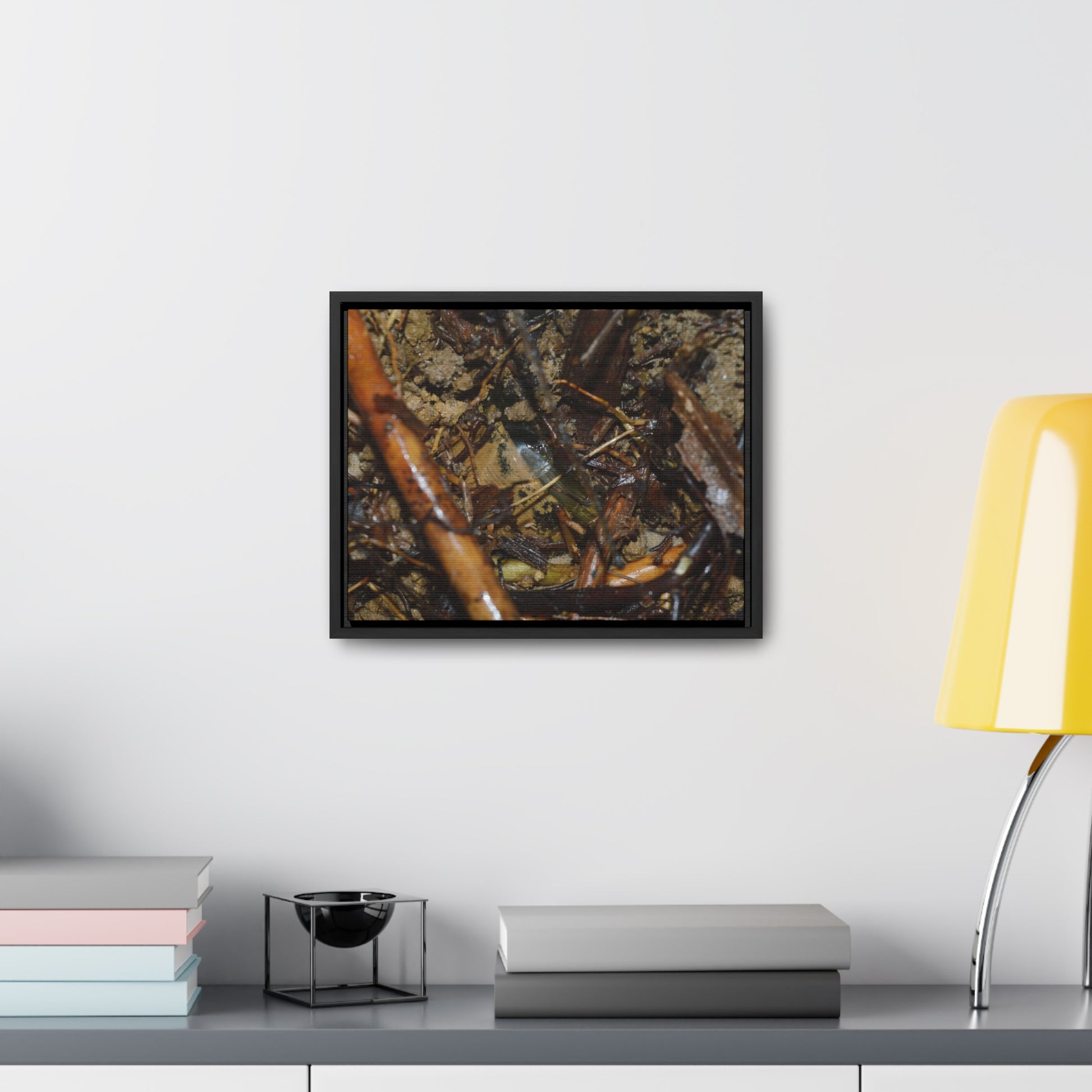 Rainforest Trails & Views - Gallery Canvas Wraps, Horizontal Frame - El Yunque National Forest - Puerto Rico - The dense forest ground near the top of PR 191 - the red root is a Sierra Palm root - Green Forest Home