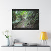 Rainforest Trails & Views - Gallery Canvas Wraps, Horizontal Frame - El Yunque National Forest - Puerto Rico - Early Tradewinds trail - Green Forest Home