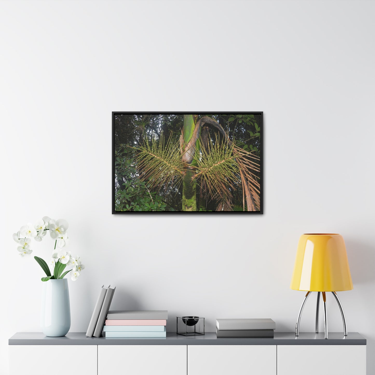 Rainforest Trails & Views - Gallery Canvas Wraps, Horizontal Frame - El Yunque National Forest - Puerto Rico - A close view of the Sierra Palm tree