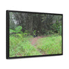 Rainforest Trails & Views - Gallery Canvas Wraps, Horizontal Frame - El Yunque National Forest - Puerto Rico - Path in camping zone near peaks - Green Forest Home