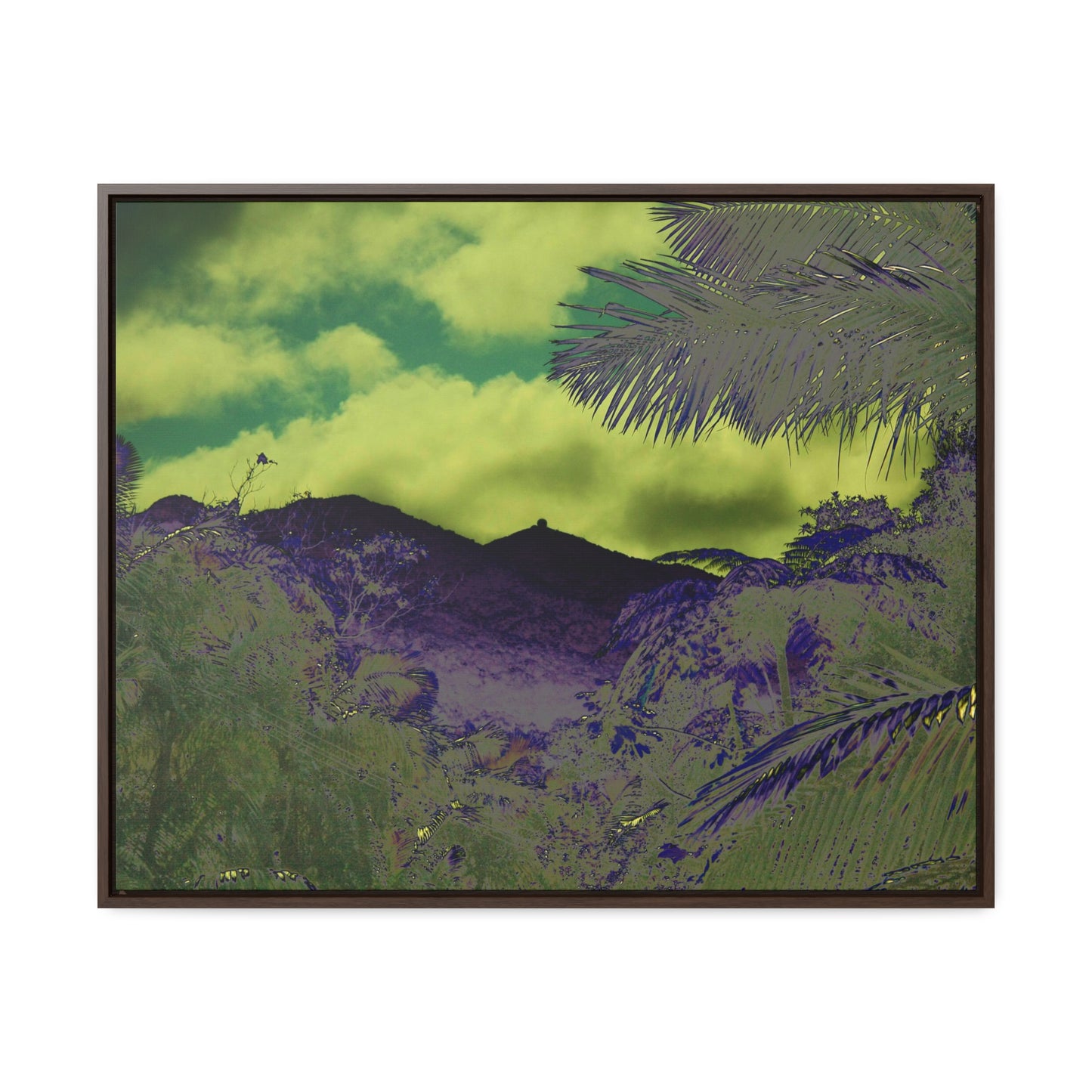 Rainforest Trails & Views - Gallery Canvas Wraps, Horizontal Frame - El Yunque National Forest - Puerto Rico - Mt Britton road view of Mt Britton - color enhanced - Green Forest Home