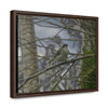 Rainforest Trails & Views - Gallery Canvas Wraps, Horizontal Frame - El Yunque National Forest - Puerto Rico - Color enhanced bird in Rio Sabana trail - Green Forest Home