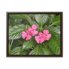 Rainforest Trails & Views - Gallery Canvas Wraps, Horizontal Frame - El Yunque National Forest - Rio Sabana Lovely Miramelinda flower - Green Forest Home