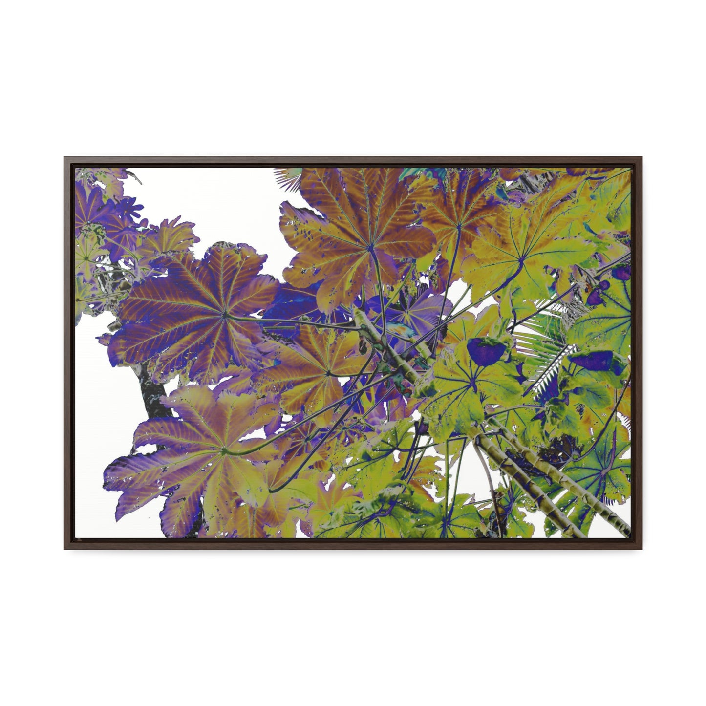 Rainforest Trails & Views - Gallery Canvas Wraps, Horizontal Frame - El Yunque National Forest - Puerto Rico - Rio Sabana Trail Yagrumo leaves - color enhanced - Green Forest Home